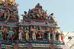 LITTLE INDIA (160)